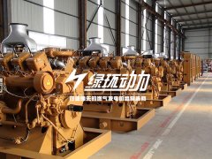 有機廢(fei)水(shui)沼氣髮電機(ji)組(zu)